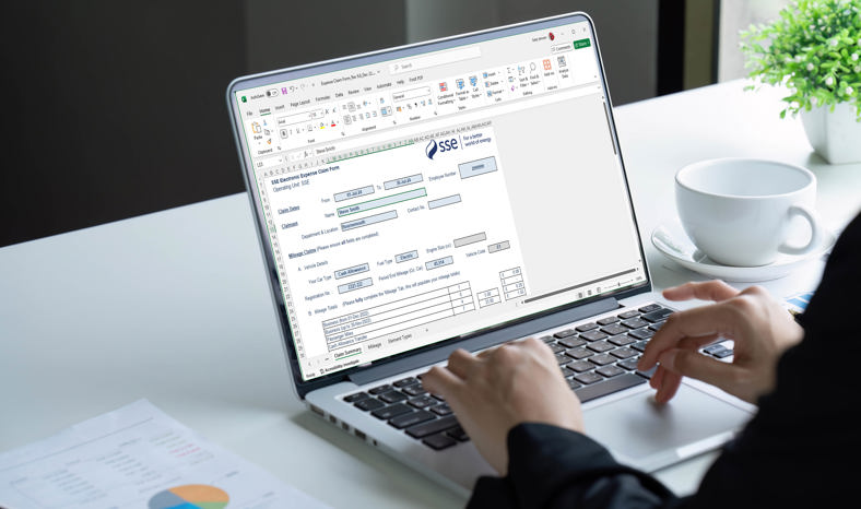 SSE User completing expenses on a legacy spreadsheet